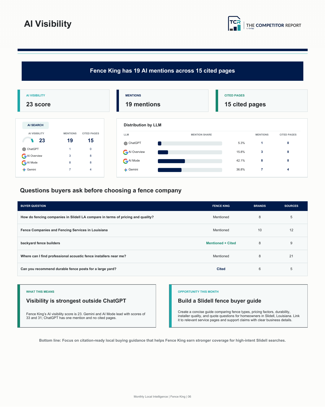AI Visibility sample report page