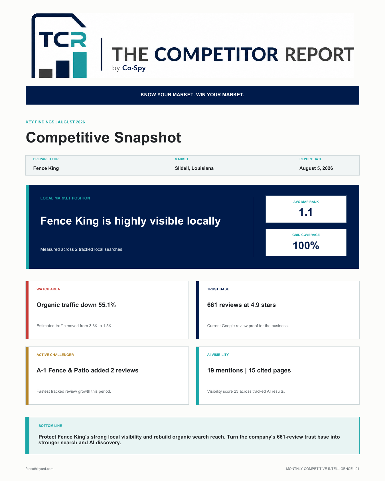 Competitive Snapshot sample report page